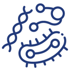 Infectious Disease